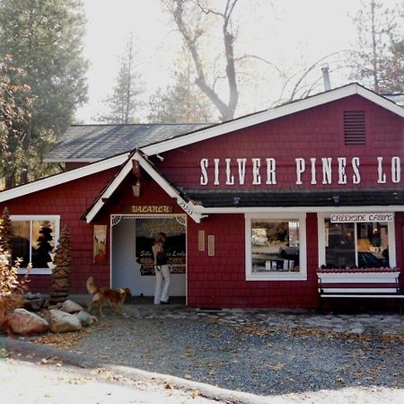 Silver Pines Lodge آيديلوايل المظهر الخارجي الصورة