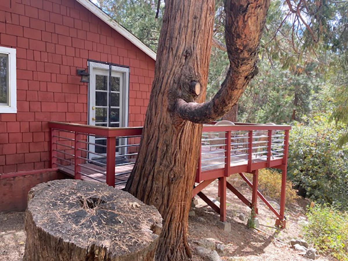 Silver Pines Lodge آيديلوايل المظهر الخارجي الصورة