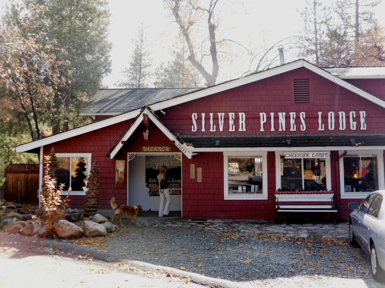 Silver Pines Lodge آيديلوايل المظهر الخارجي الصورة