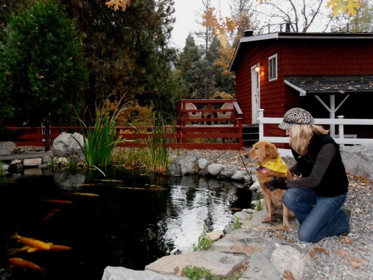 Silver Pines Lodge آيديلوايل المظهر الخارجي الصورة